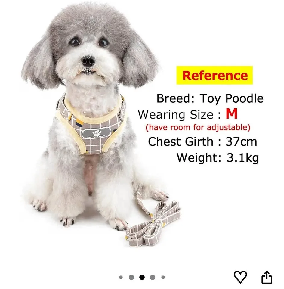 Pet Harness and Leash - Size M