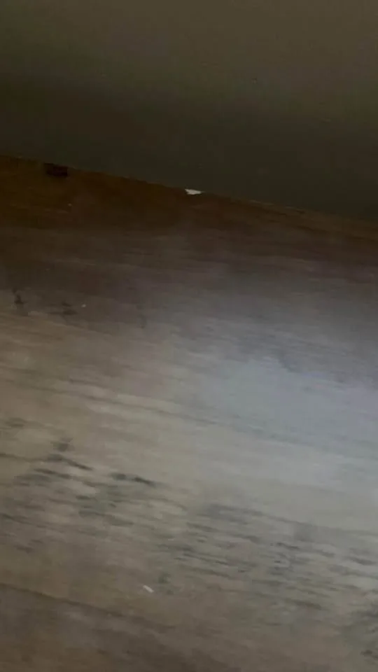 Dining + coffee table set image indicator(5)