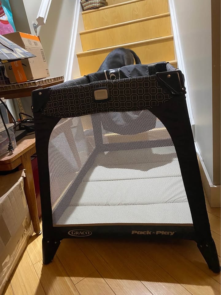 Small Graco Pack n Play - photo 2