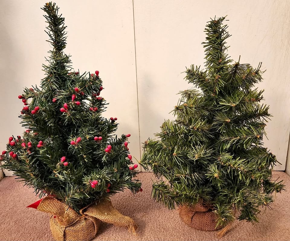 Pair of Rustic Artificial Table Top Christmas Trees