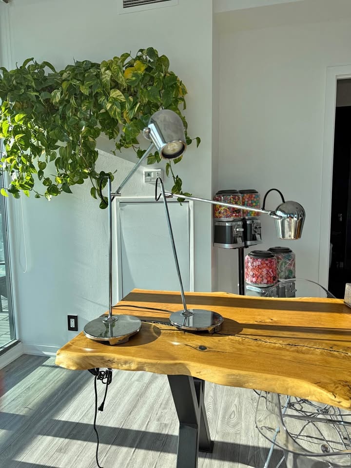 (SET OF 2) Adjustable CB2 Modern Lamps ($260 in store)