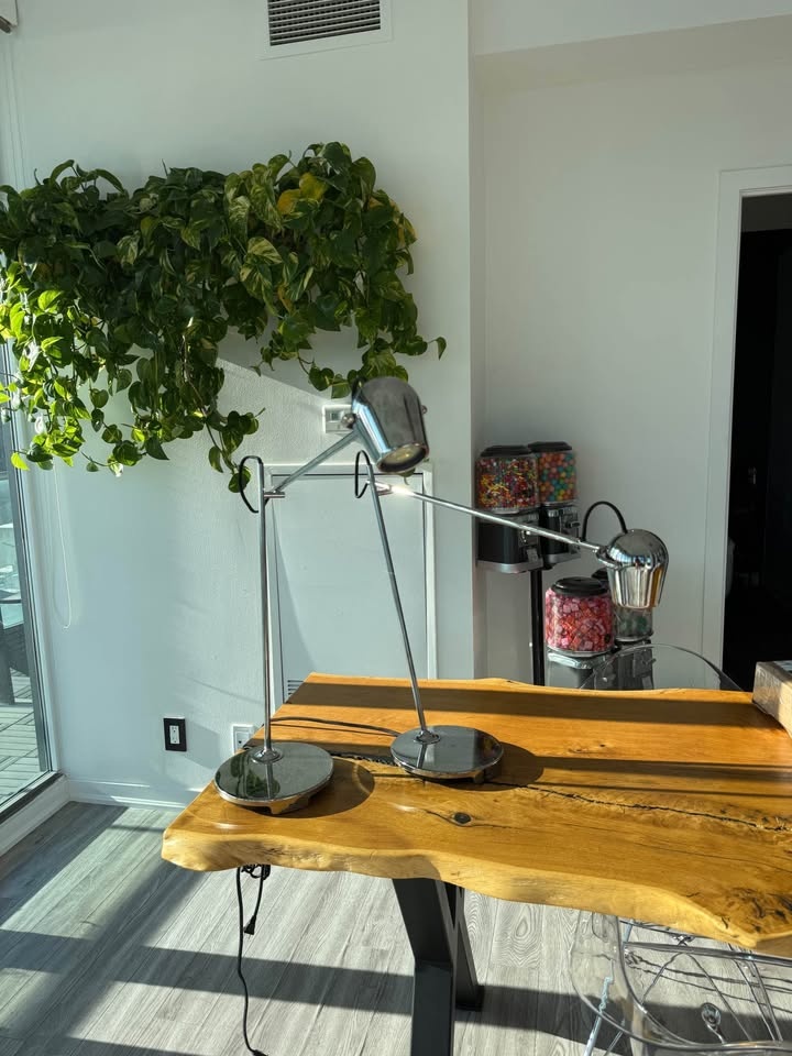 (SET OF 2) Adjustable CB2 Modern Lamps ($260 in store) - photo 3