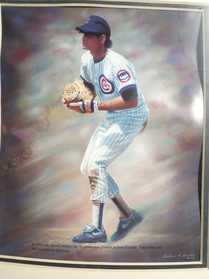 Cubs Collection - photo 2