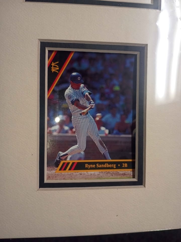 Cubs Collection - photo 3