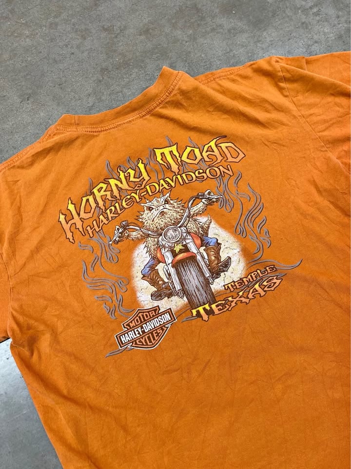 Harley Davidson Graphic T-Shirt