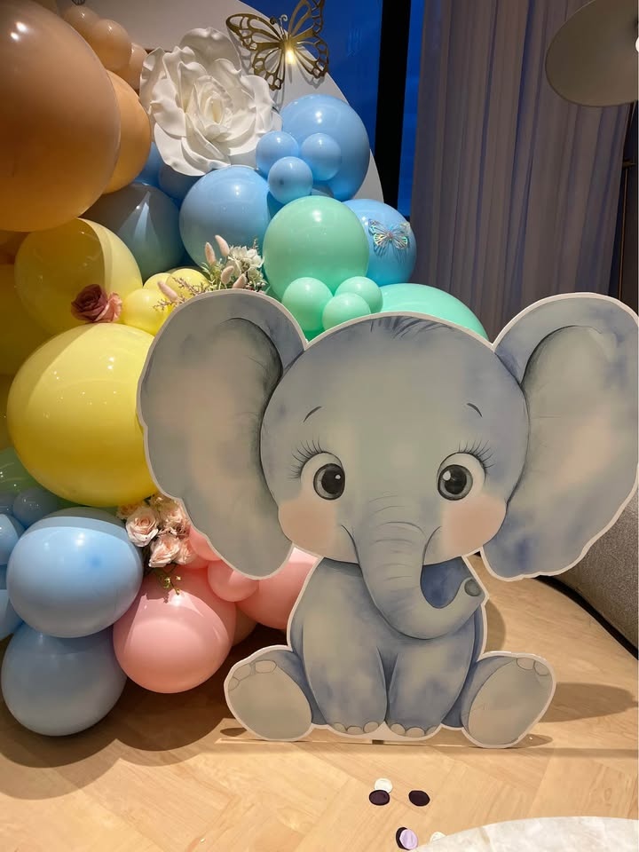 Babyshower decor | gender reveal | balloon decoration - photo 4