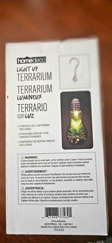 Light Up Bulb Terrarium