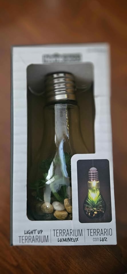 Light Up Bulb Terrarium - photo 2