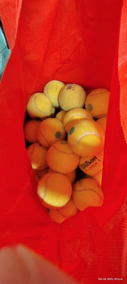 37 Wilson Tennis Balls - sweepgoods.ca