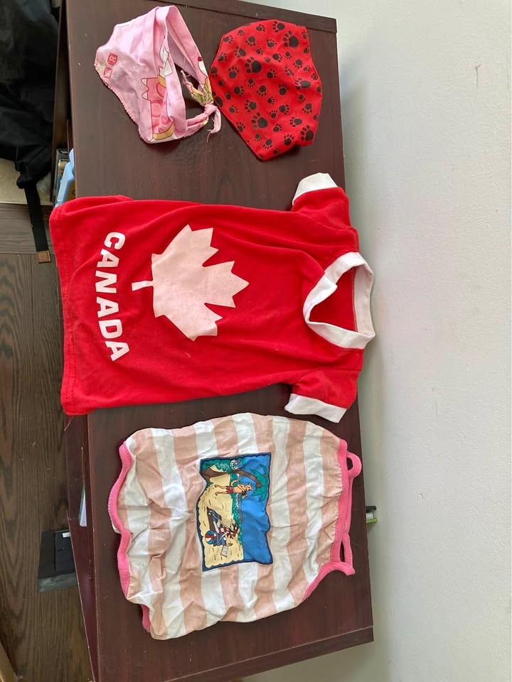 Small Dog Clothing & Bandana Bundle