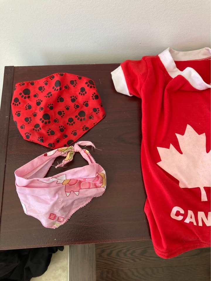Small Dog Clothing & Bandana Bundle - photo 2