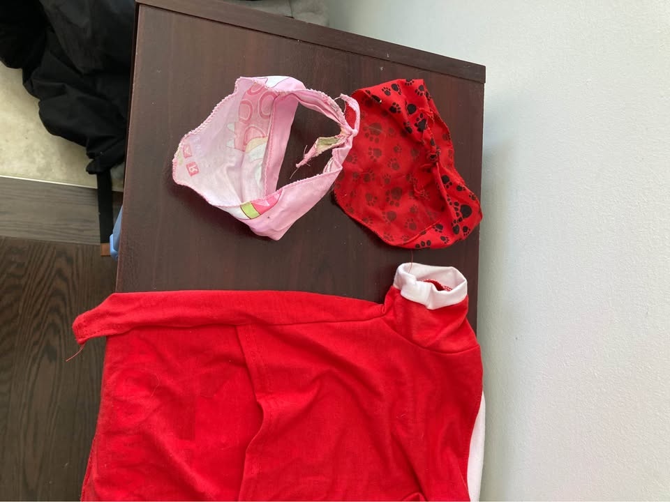 Small Dog Clothing & Bandana Bundle - photo 5