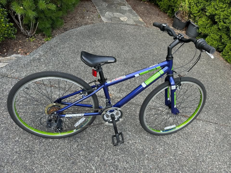 Diamondback Insight Kids Hybrid Bike 24"