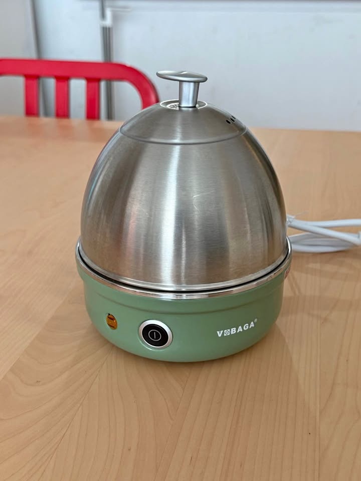 Electric stainless steel egg cooker
