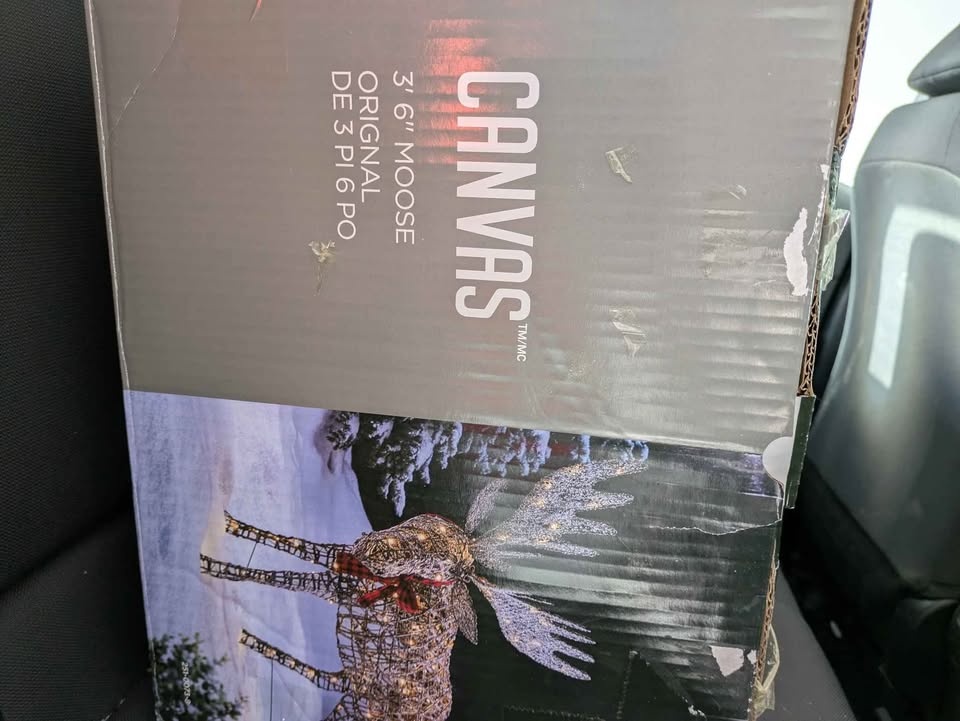 Canvas 3' 6" Moose for Sale - photo 2