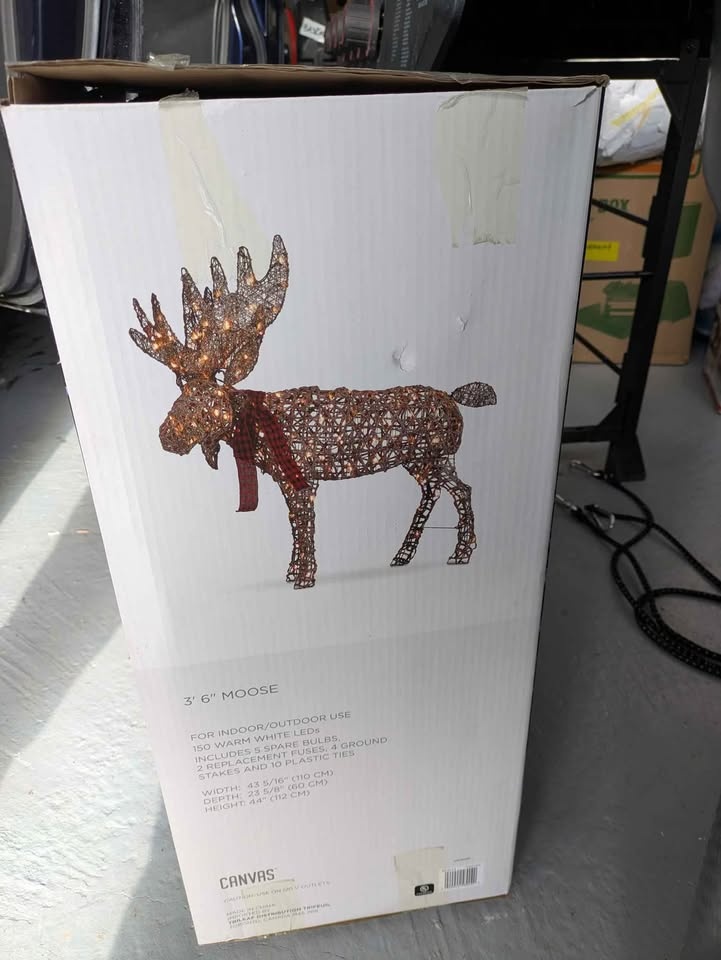 Canvas 3' 6" Moose for Sale - photo 3