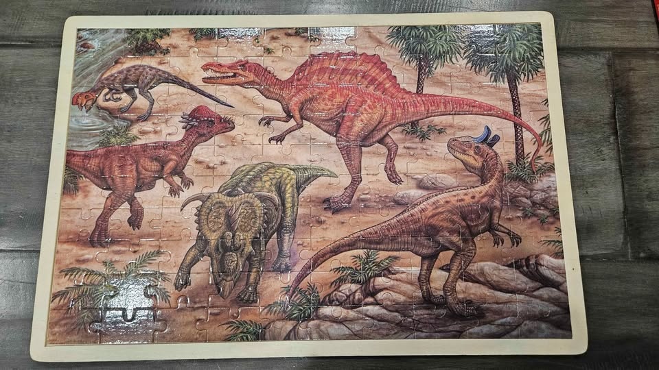 Puzzles, memory game, maze, play doh, magnetic animals, save the - photo 3