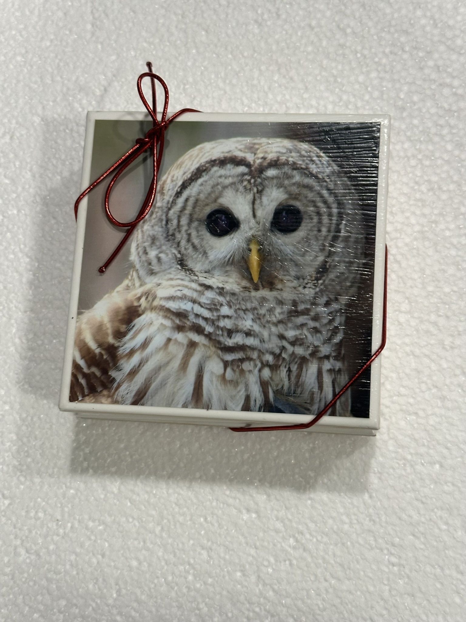 Set of four coasters featuring images of a barred owl and a gold - photo 4