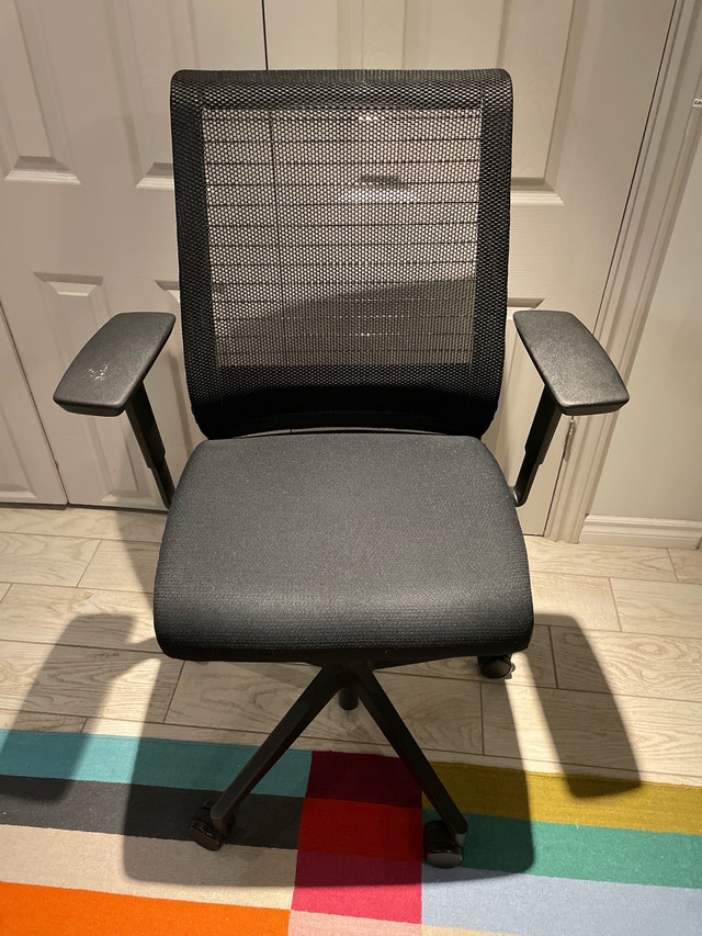 Ergonomic Office/Desk Chair