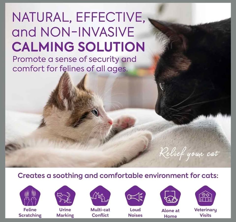 TopSum Cat Calming Diffuser Refills - 6 Pack - photo 5