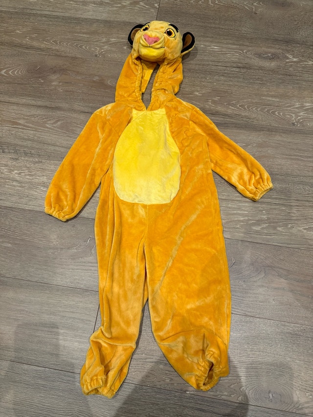 Disney Lion King Costume
