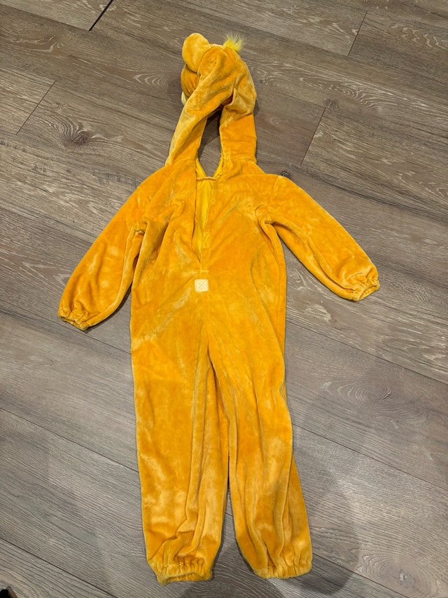 Disney Lion King Costume - photo 3