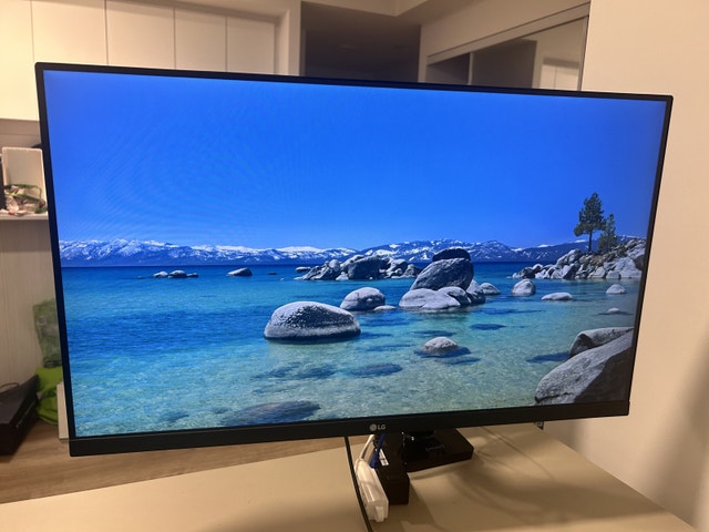 LG 27’ LED screen with adjustable mount