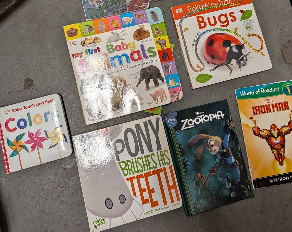 Kids Book Lot – Board Books & Early Readers