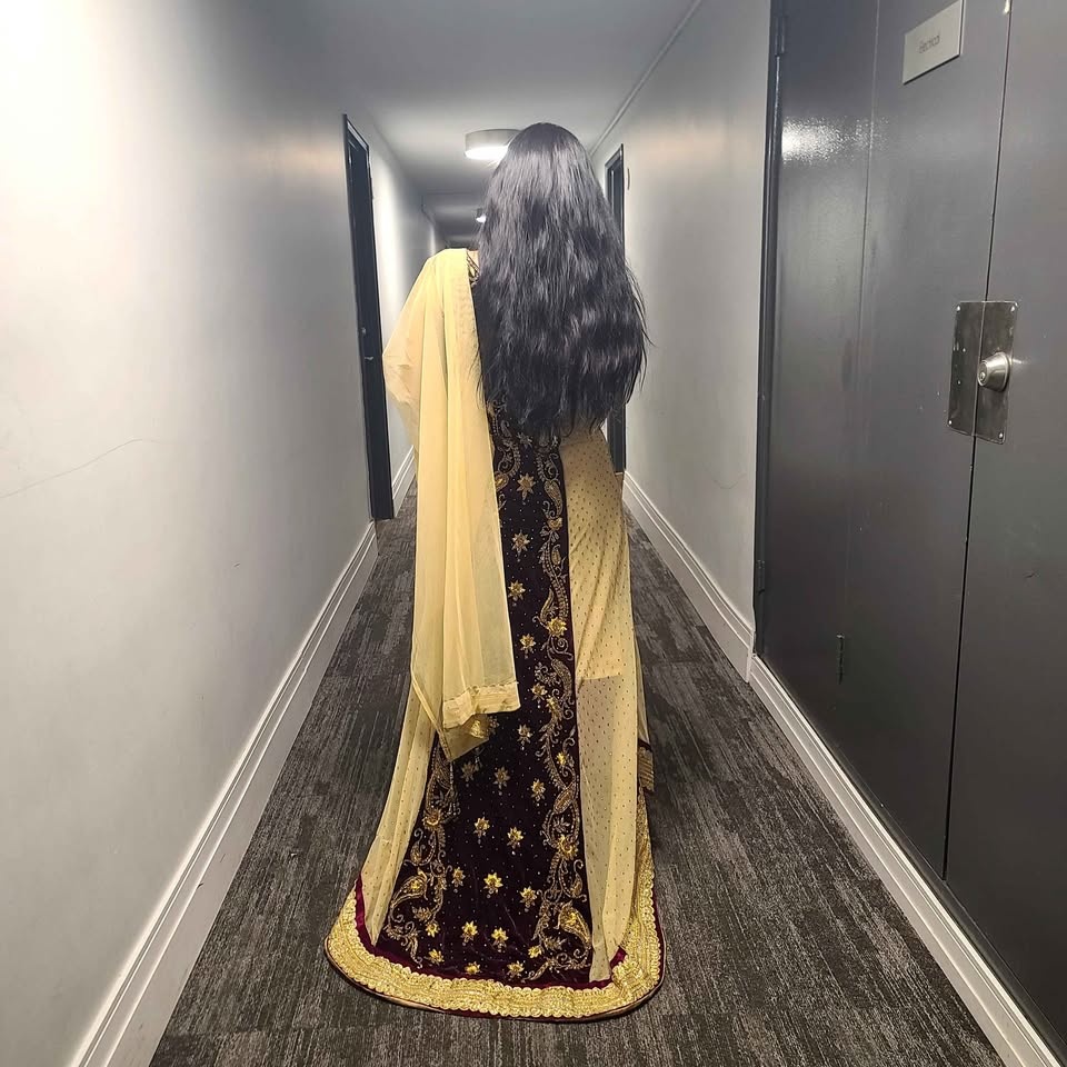 Embroidered Velvet/Chiffon Long Dress - photo 4
