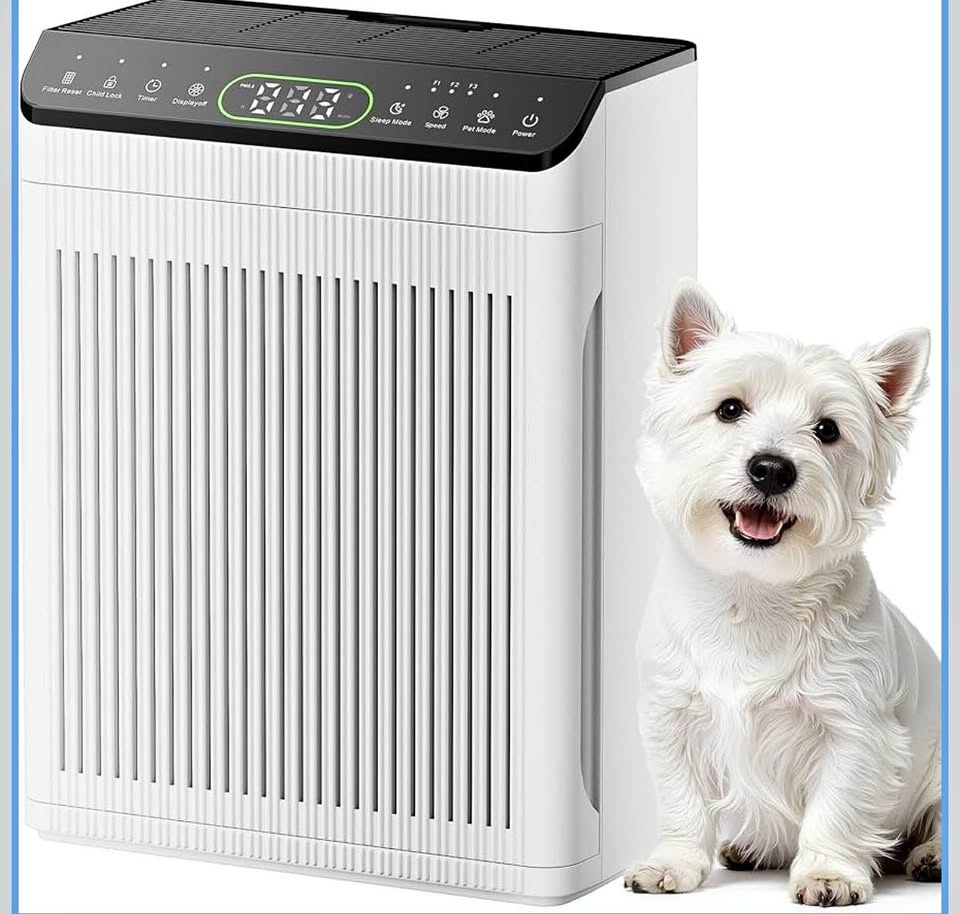 Air Purifiers for Home Large Room up to 2200sq