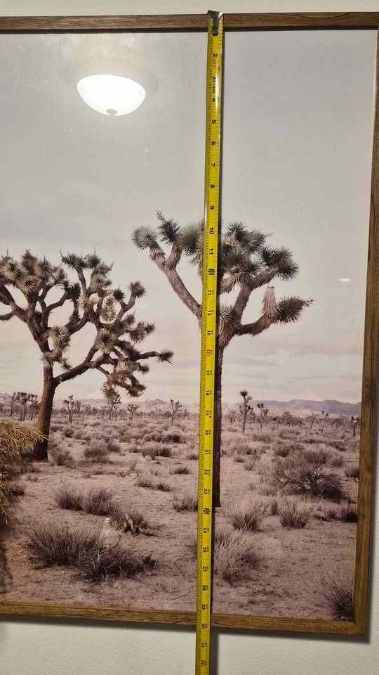 Joshua Tree Framed Wall Art - photo 2