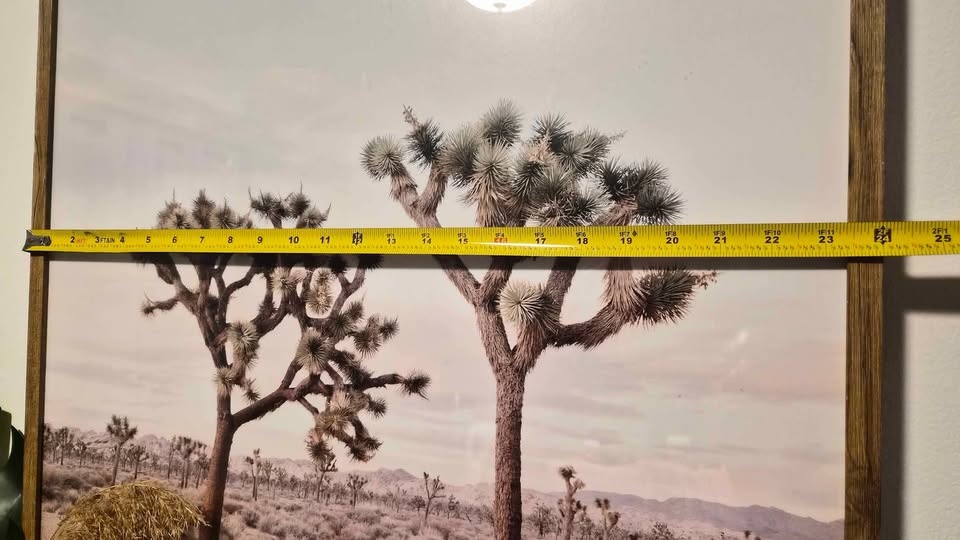 Joshua Tree Framed Wall Art - photo 3