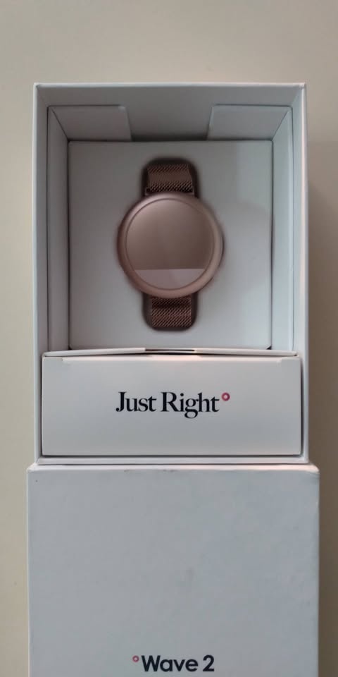 Embr Wave 2 Cooling and Warming Wristband Rose Gold - photo 2