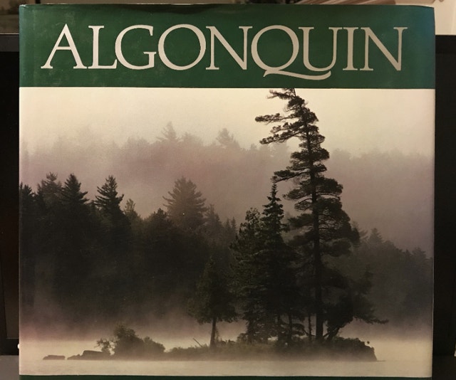 Algonquin by William Reynolds & Ted Dyke