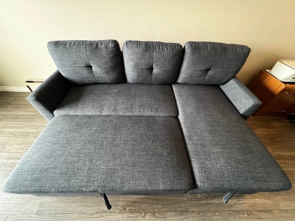 Pull-Out Sofa Bed with Storage - photo 2