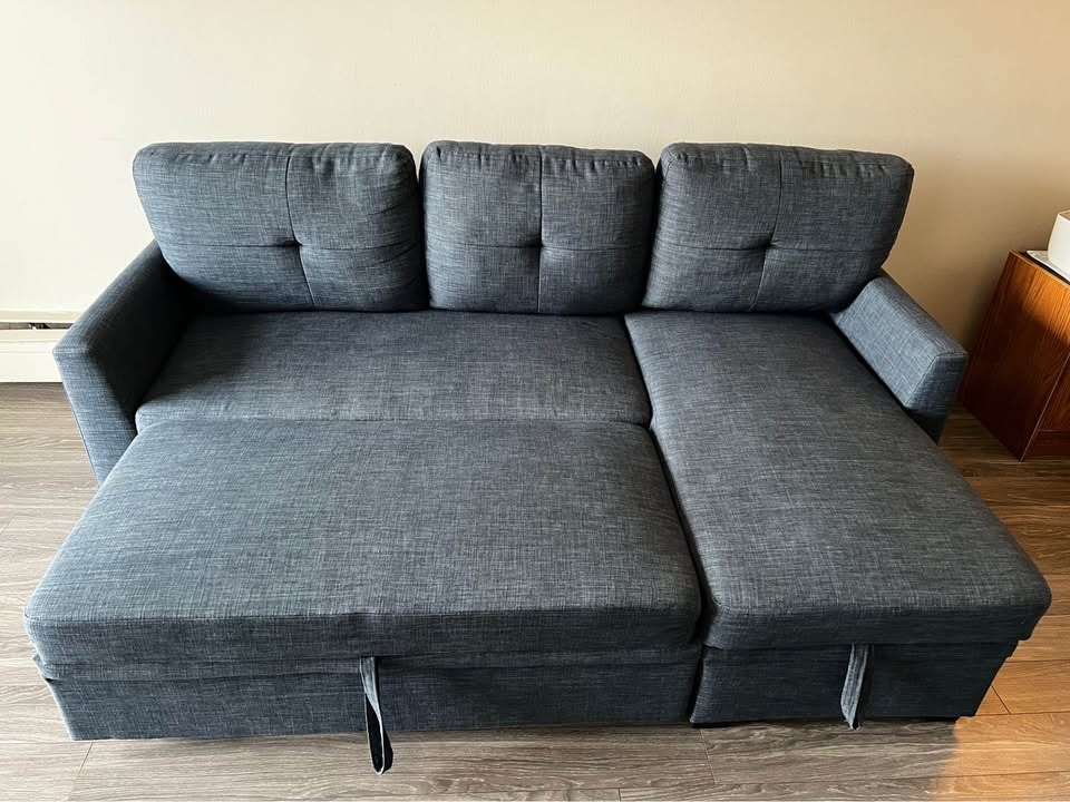 Pull-Out Sofa Bed with Storage - photo 3