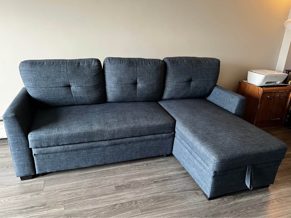 Pull-Out Sofa Bed with Storage - photo 4