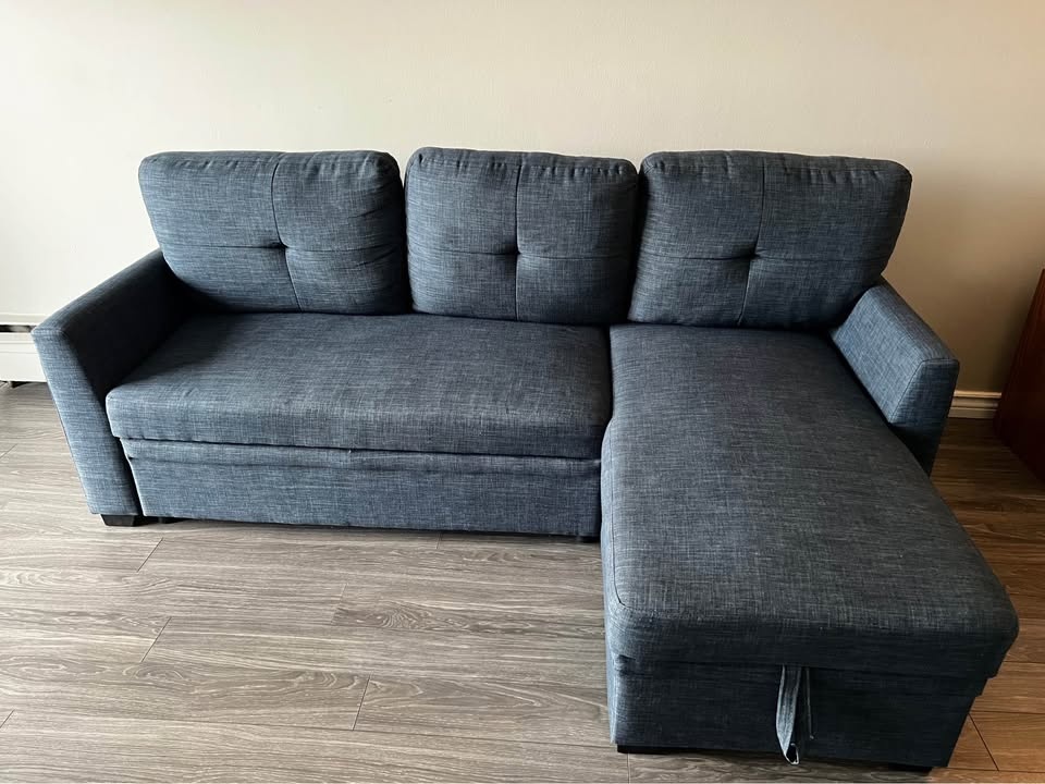 Pull-Out Sofa Bed with Storage - photo 5