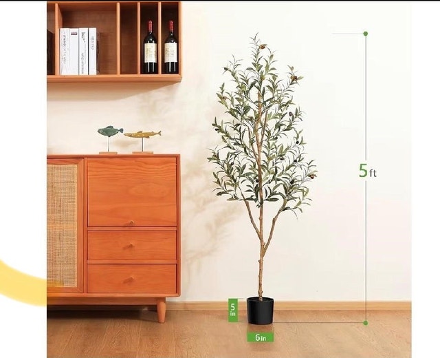 Olive Tree brand new - photo 2