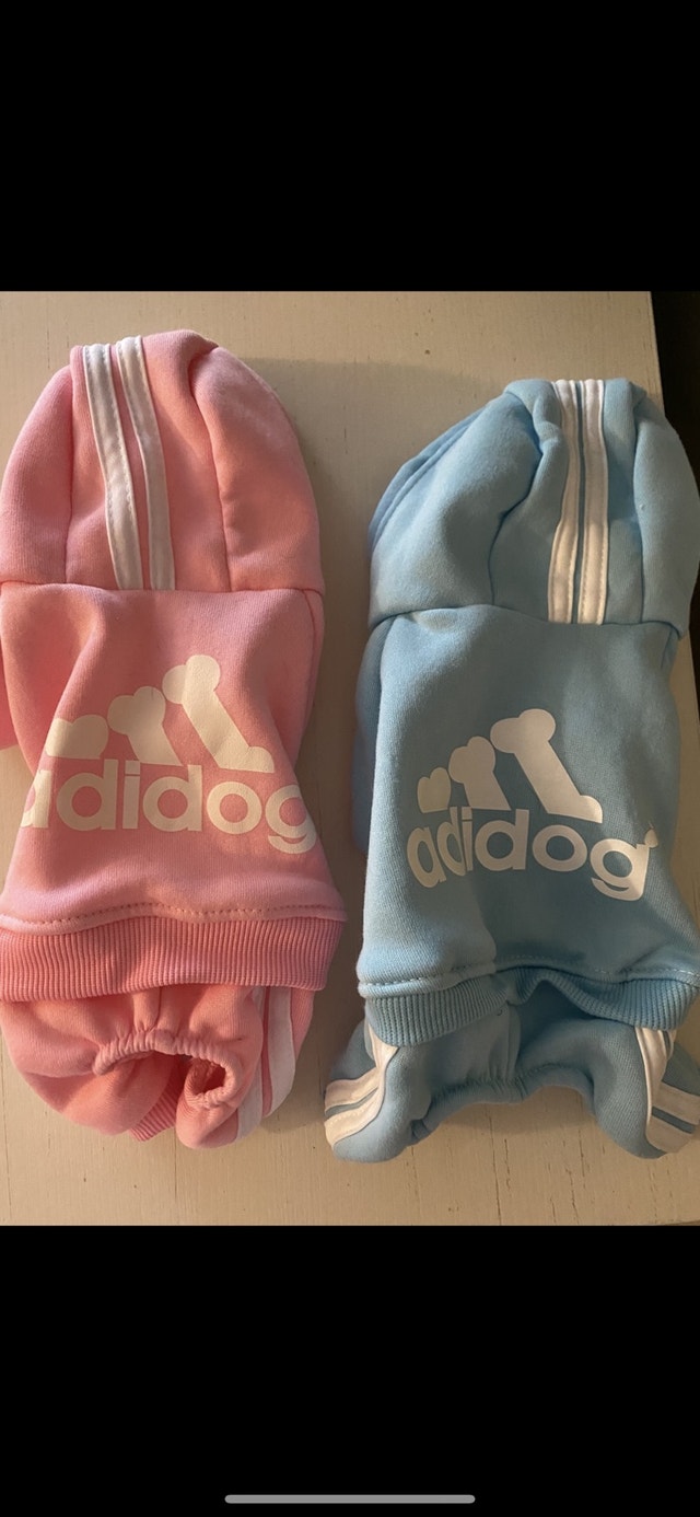 Cute & Small AdiDog Track Suits