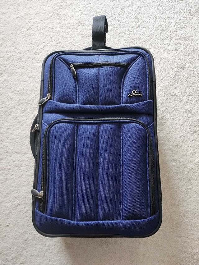 Skyway 22" Carry-on Luggage - Navy Blue