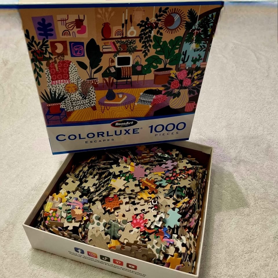 Welcome Home - RoseArt 1000 piece puzzle - photo 4