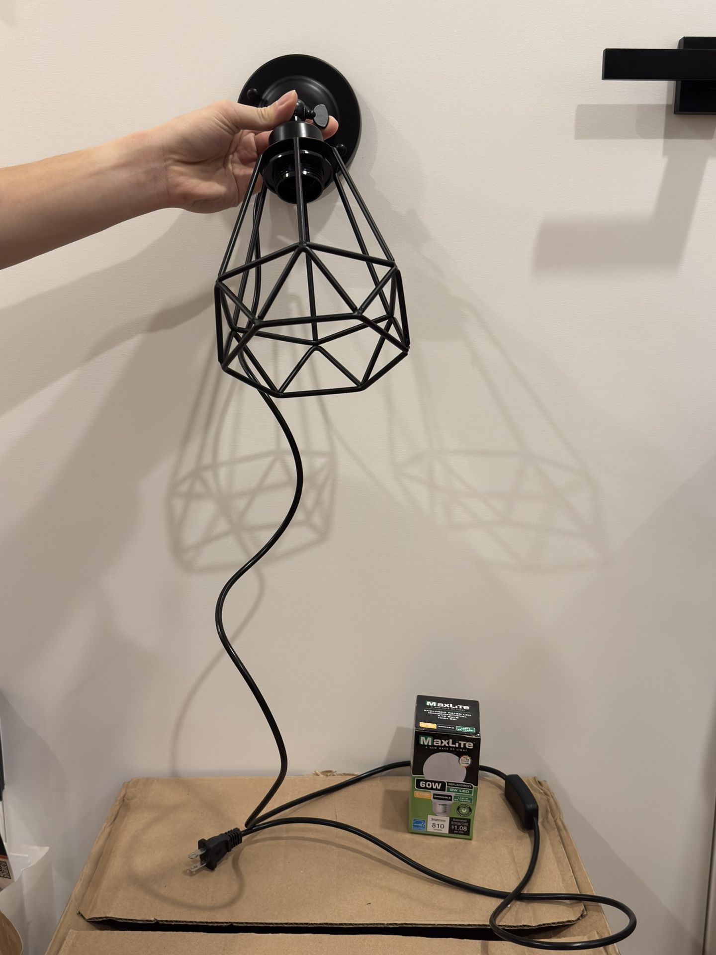 Plug in Wall Sconce, Wire Cage, Industrial Wall Lamp