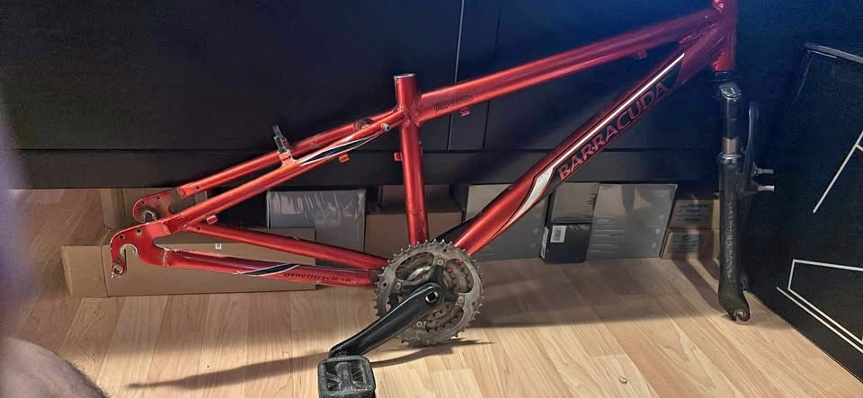 Barracuda bike frame