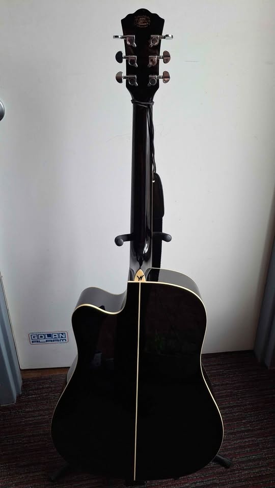 Washburn Acoustic built in tuner and pickup - photo 2