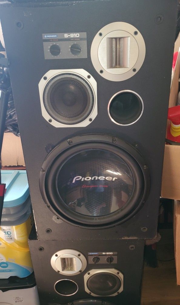 Pioneer Champion Series 1k Watts Each