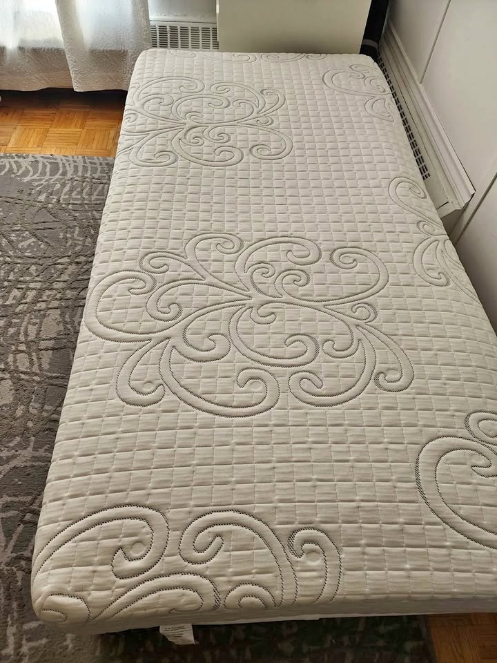 Single matters Kingstown