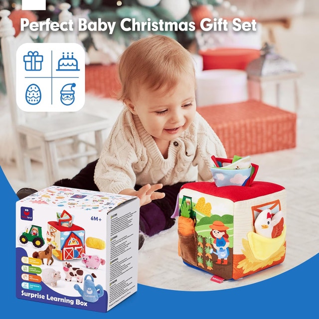 hahaland Baby Toys 6-12 Months 13Pcs Surprise Box