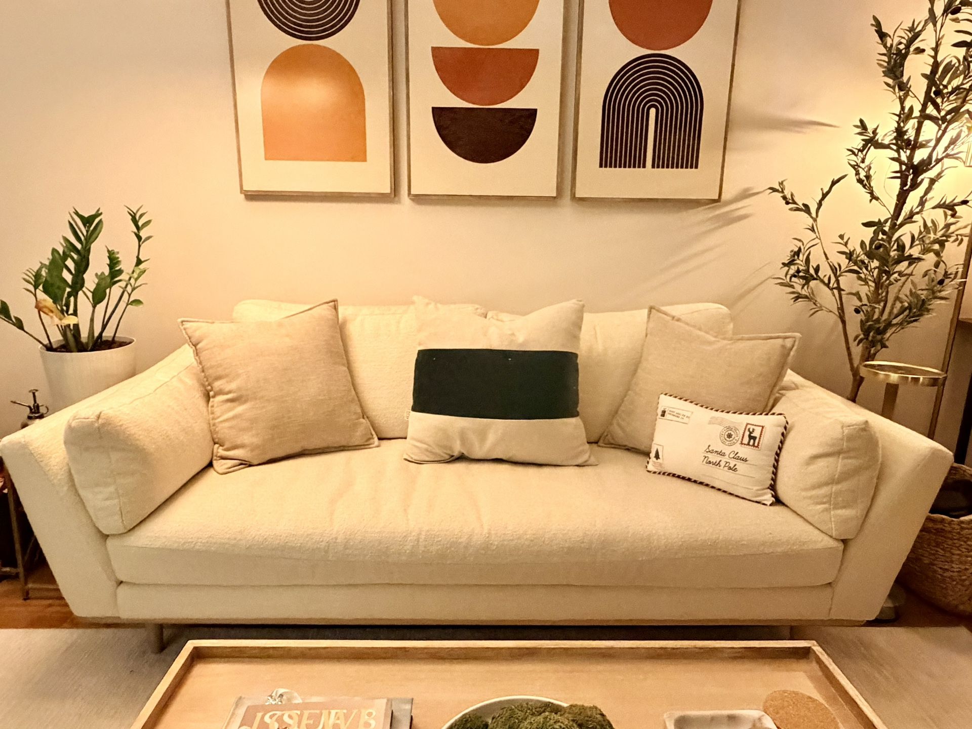 Crate & Barrel Hague Mid-Century couch - $700 OBO - photo 5