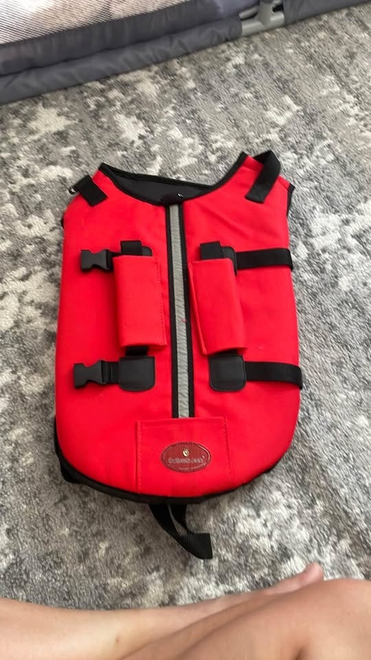 Dog Lifevest - photo 2